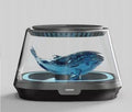 Whaley 1